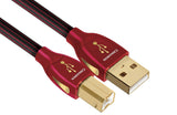 Audioquest Cinnamon USB - Simply-Hifi Online