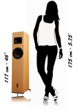 Blumenhofer Acoustics Tempesta 20